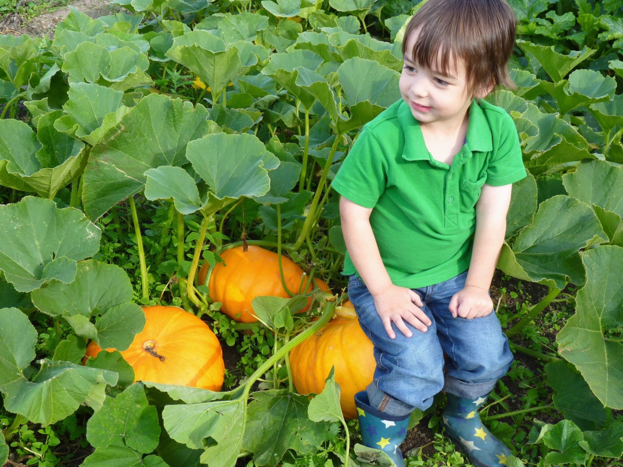 Hearty pumpkin and chickpea tagine Carol Trevor Yoga